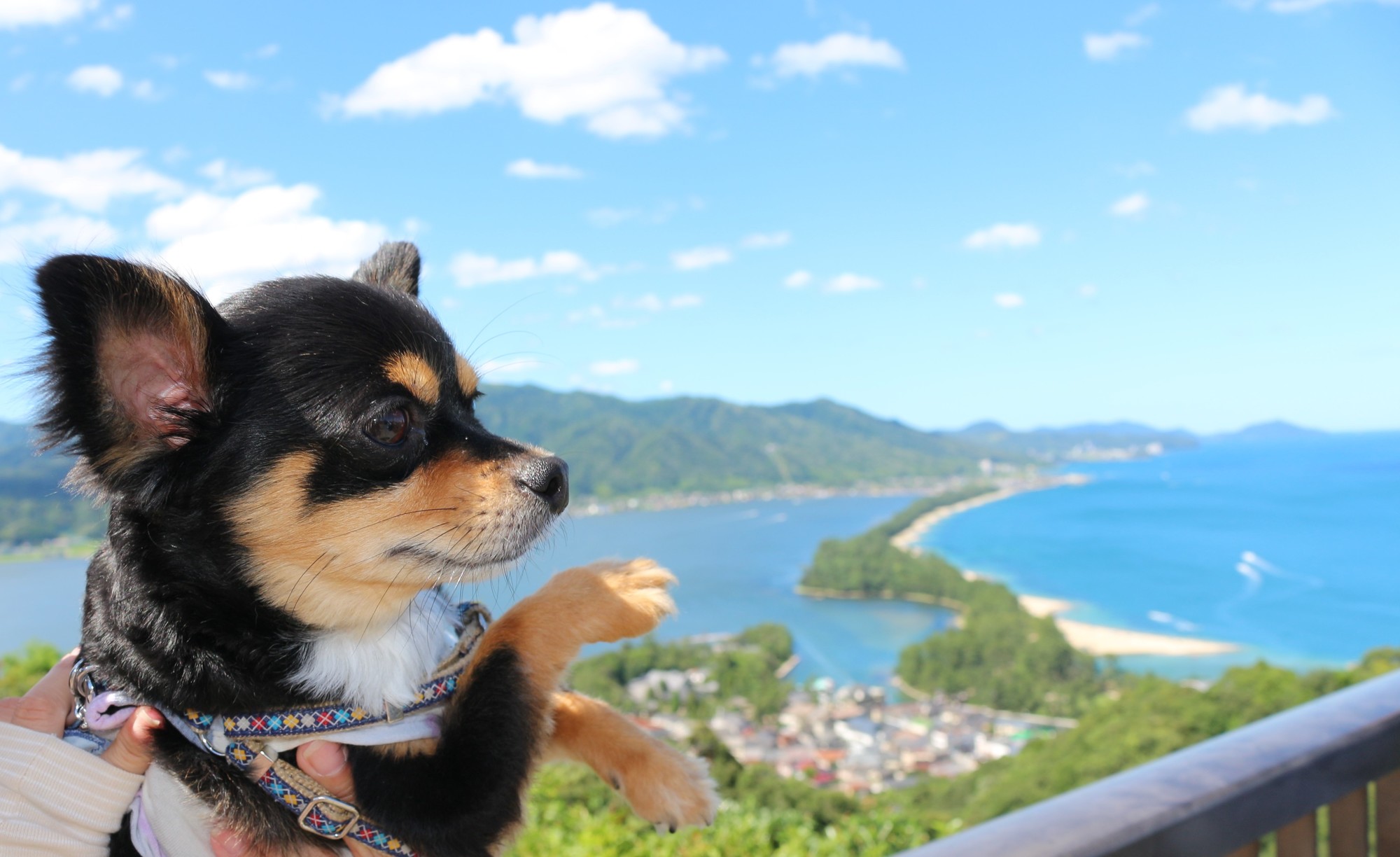 天橋立ビューランド