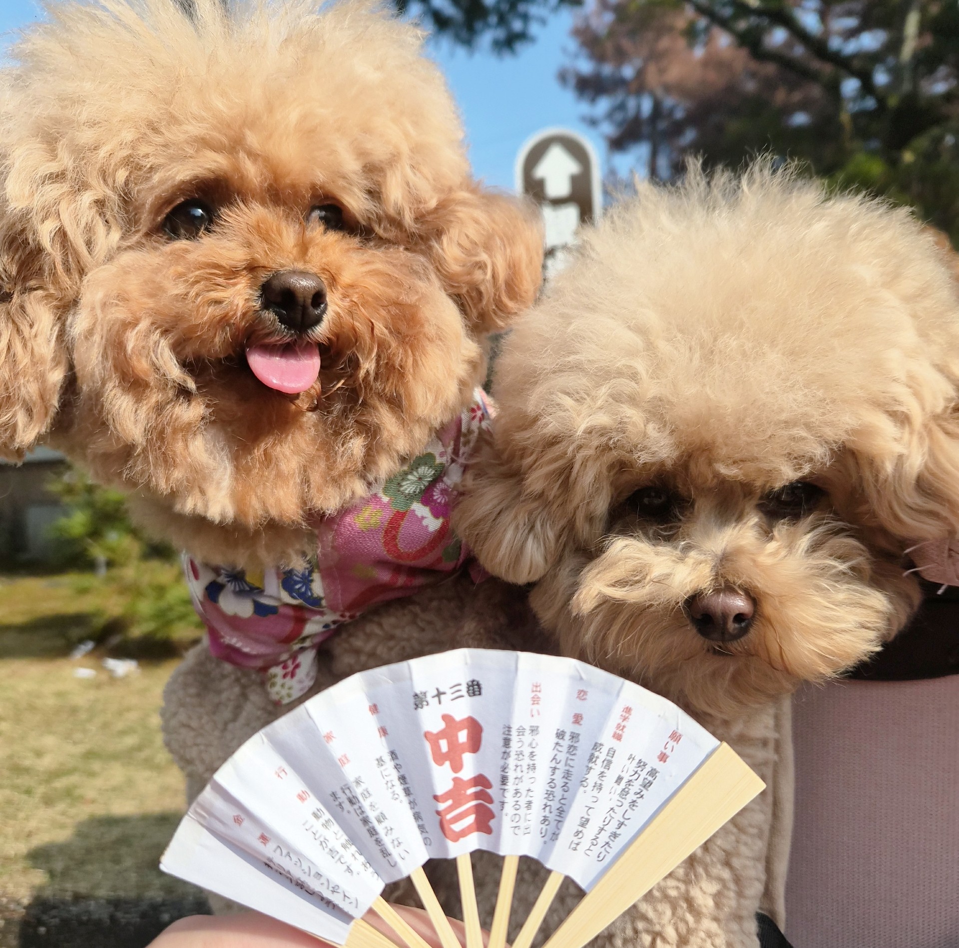 智恩寺と文珠エリア